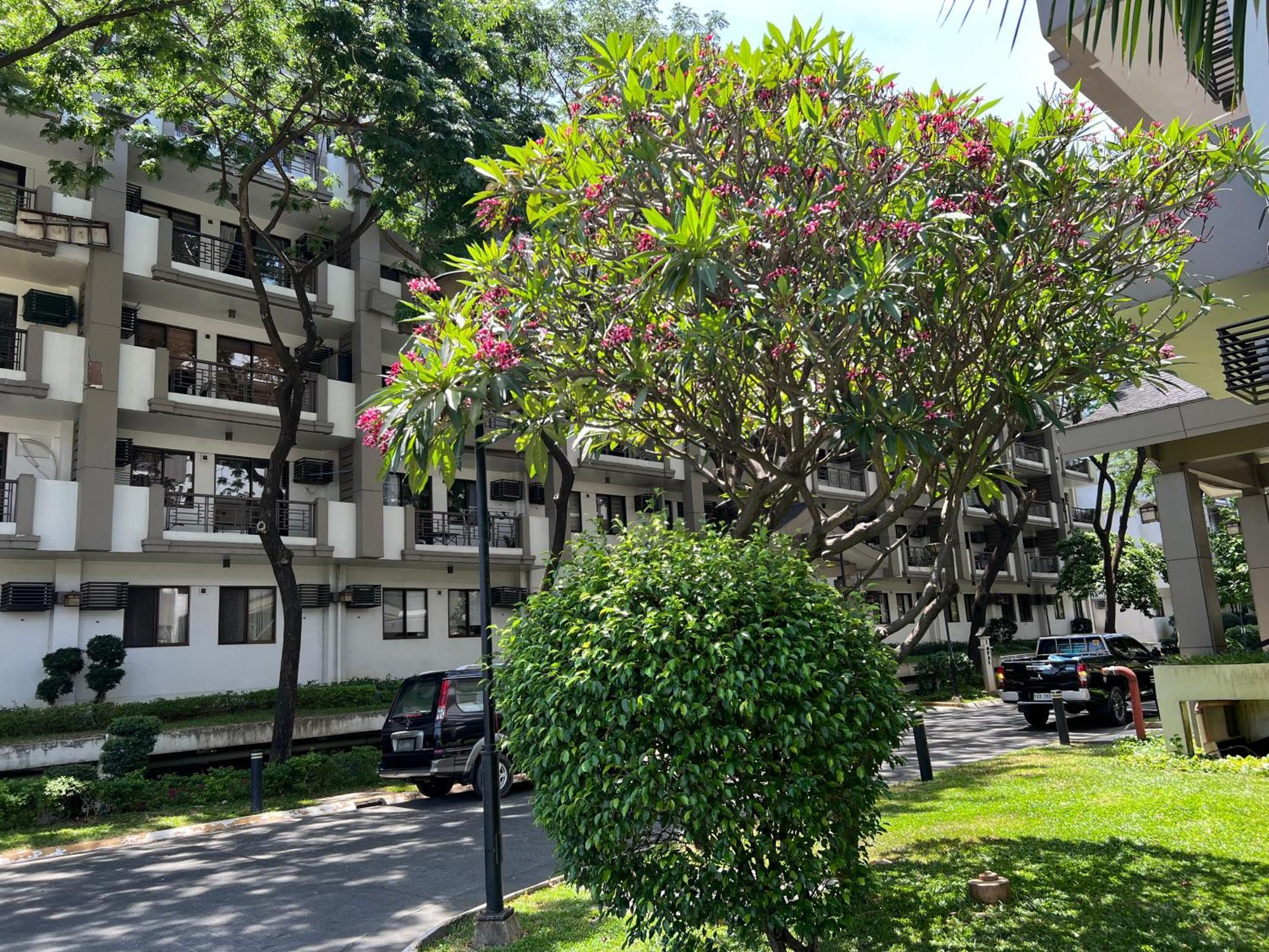 Stunning 2Br Apt, 65 Sq M Netflix At Rosewood Pointe Residences Near Bgc Manilla Buitenkant foto